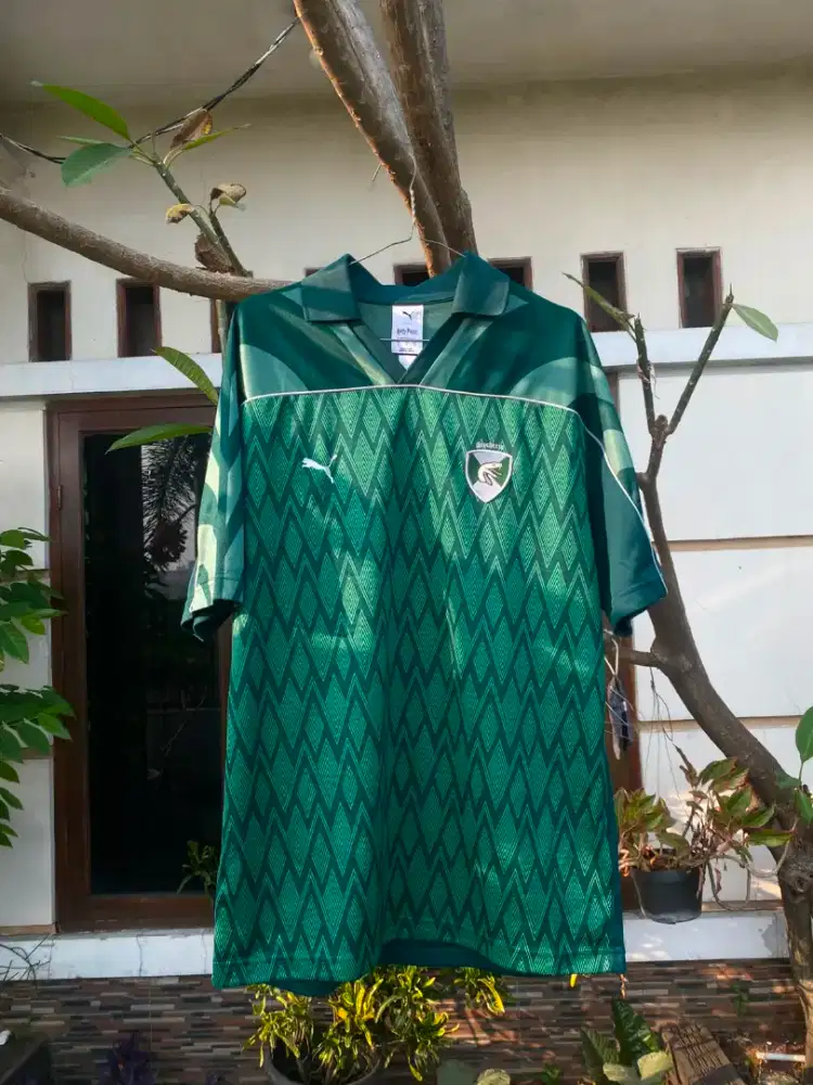 puma x harry potter jersey slytherin