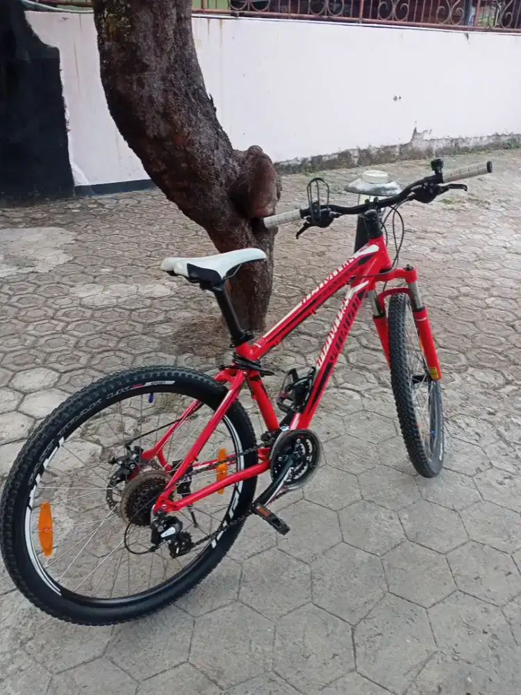 Jual sepeda MTB specialized originalan semua dari baru mint condition