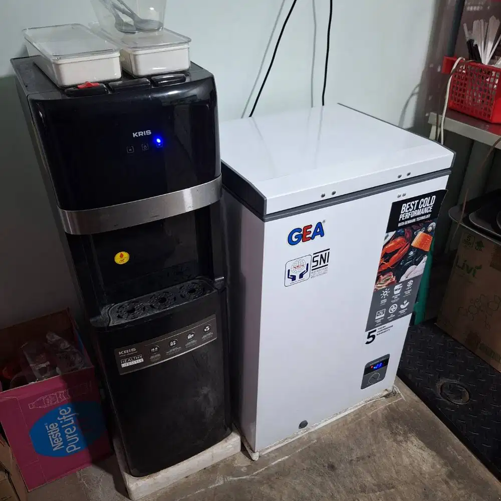 GEA Chest Freezer