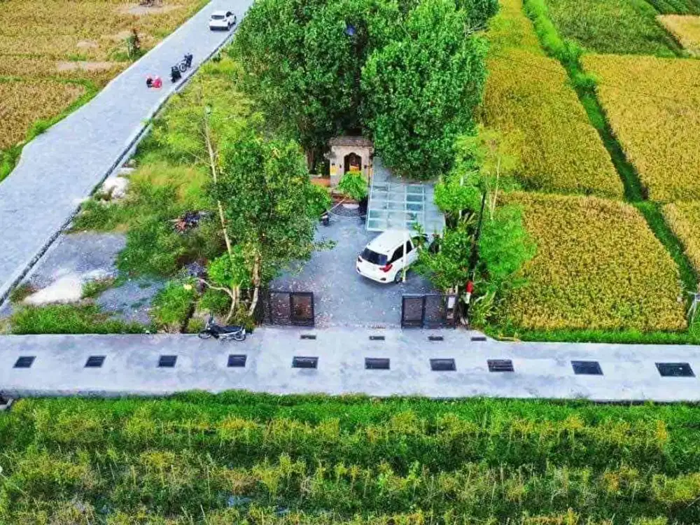 Dijual Rumah Villa Ubud Bali