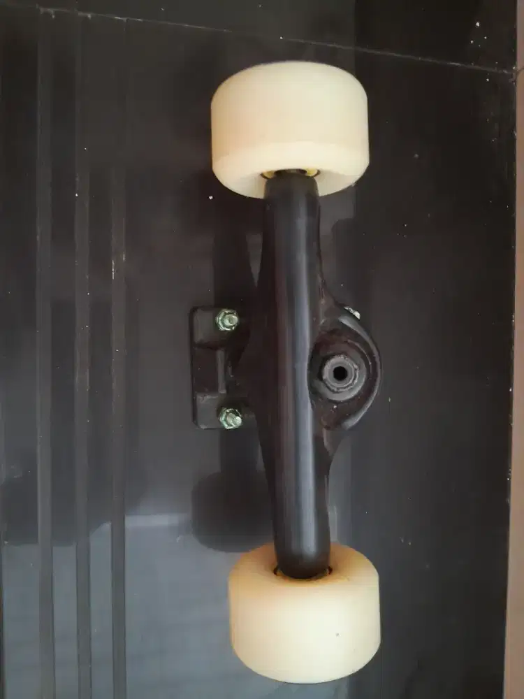 Roda Skateboard