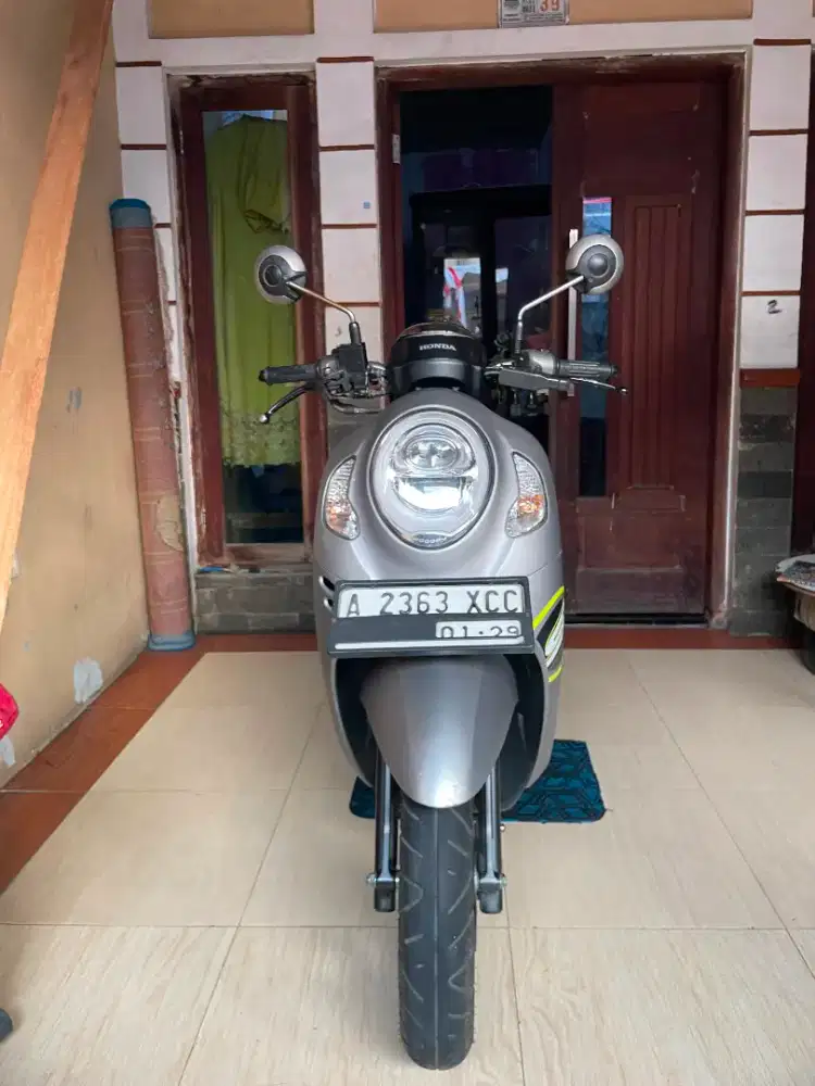 Scoopy Sporty Grey 2024