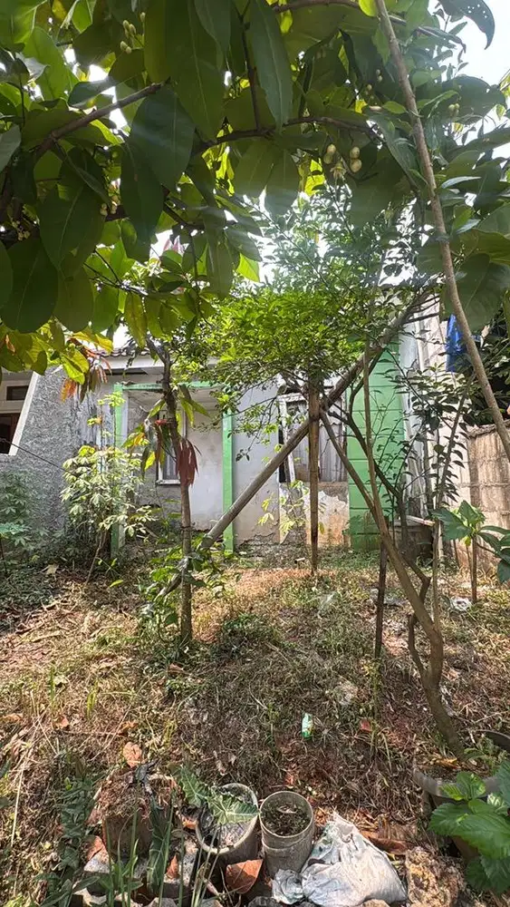 Dijual Rumah di Harvest City
