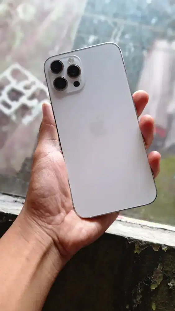 Iphone 12 pro max 256 gb