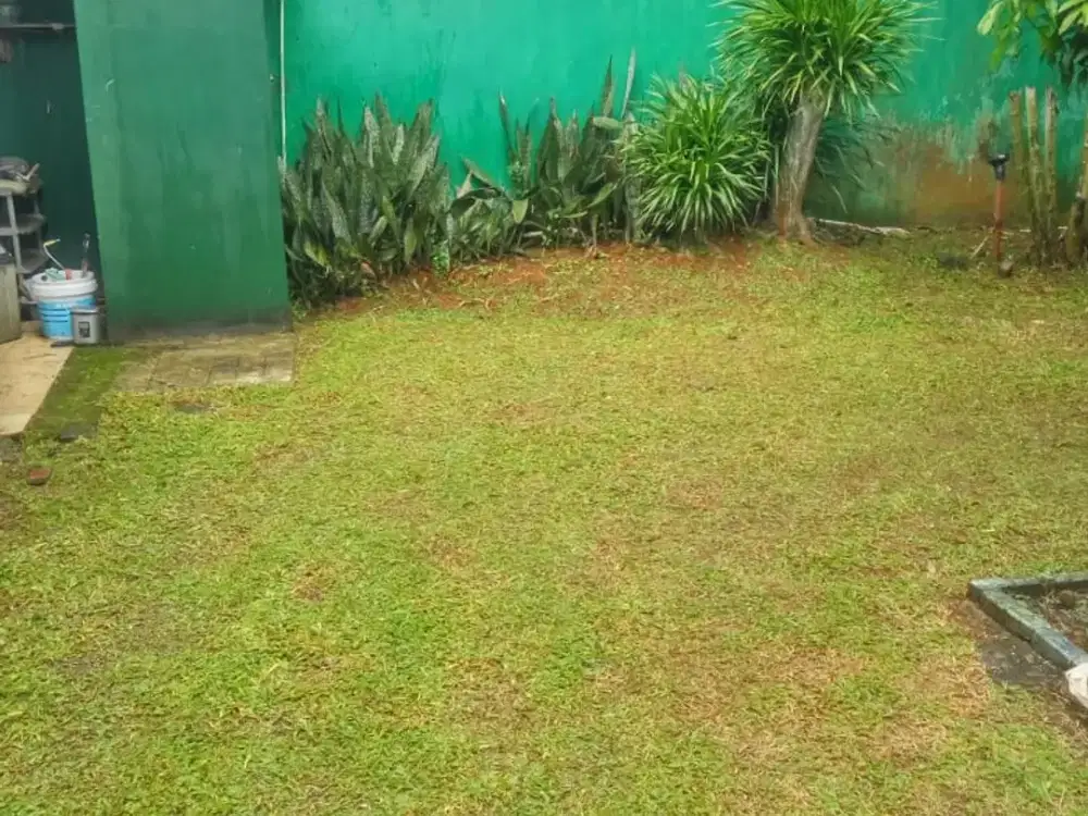 Dijual Rumah Tua Kondisi Apa Adanya - Sektor 14 X1V Nusa Loka BSD