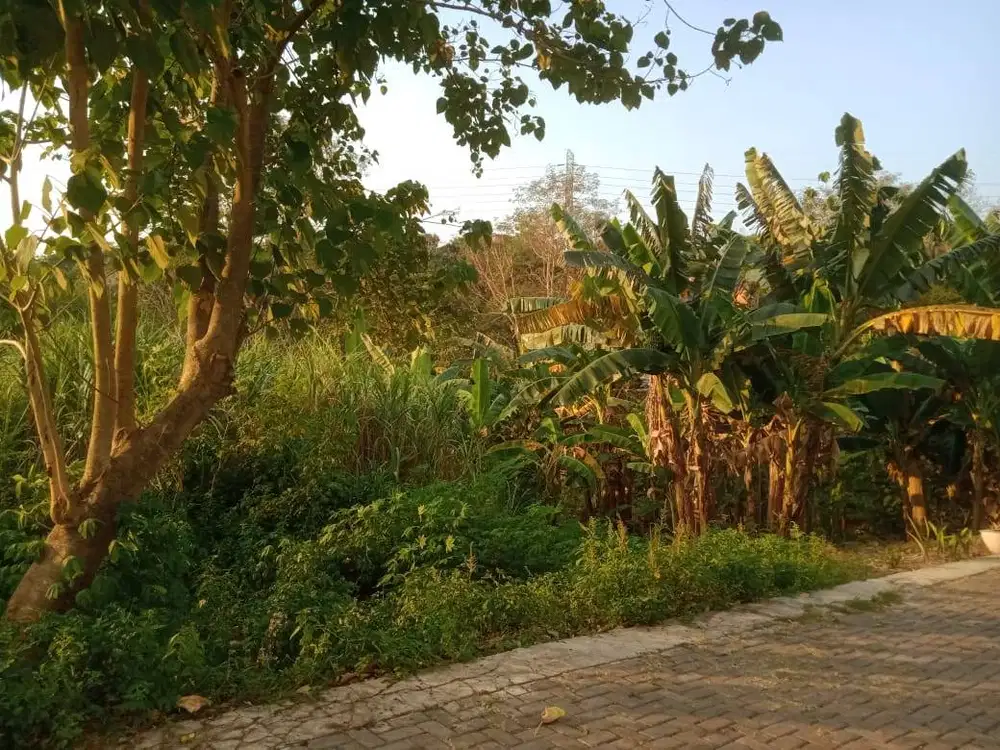 DIJUAL CEPAT, tanah kavling, cocok untuk tempat kos2an