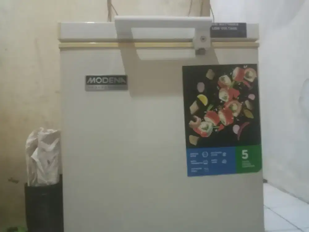 Frezeer Modena.
