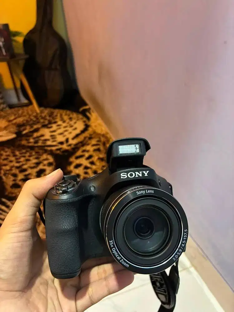 Kamera Sony Cybershot DSC H300