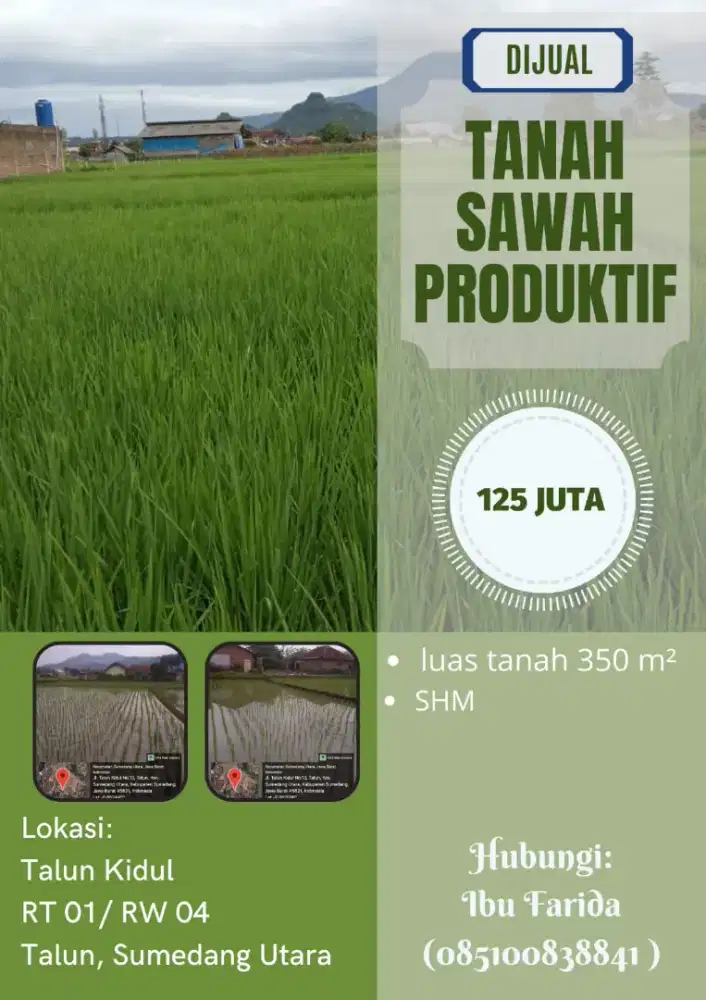 Dijual Tanah Sawah Produktif Murah