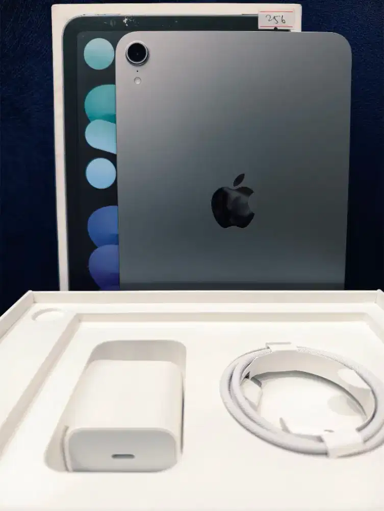 iPad mini 7 256GB wifi Space Gray