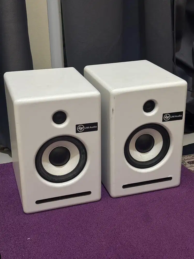 Speaker monitor flat UM Audio