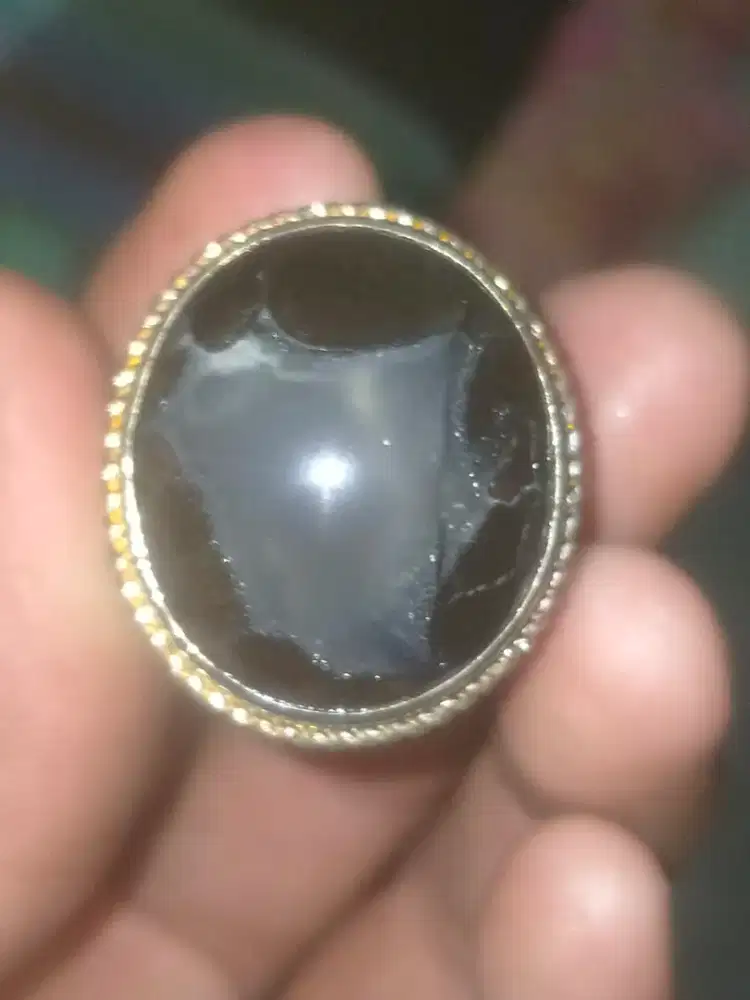 Di jual bacan kura hitam antique