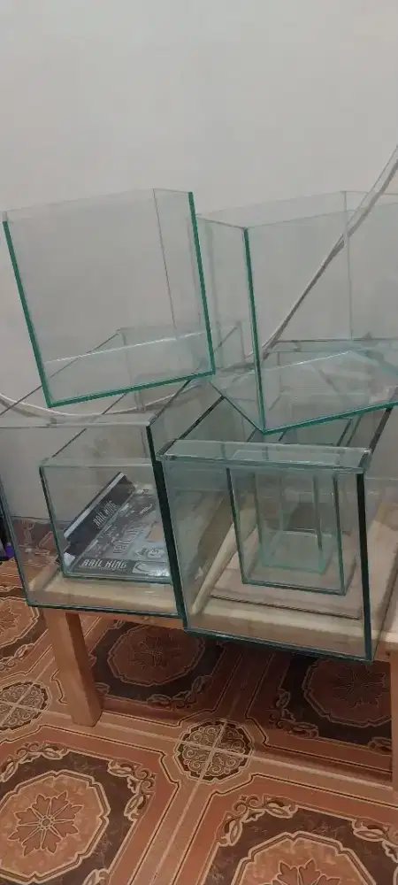 Aquarium ready baru di rakit