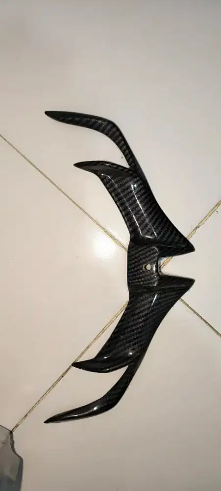 Winglet carbon r15 v3