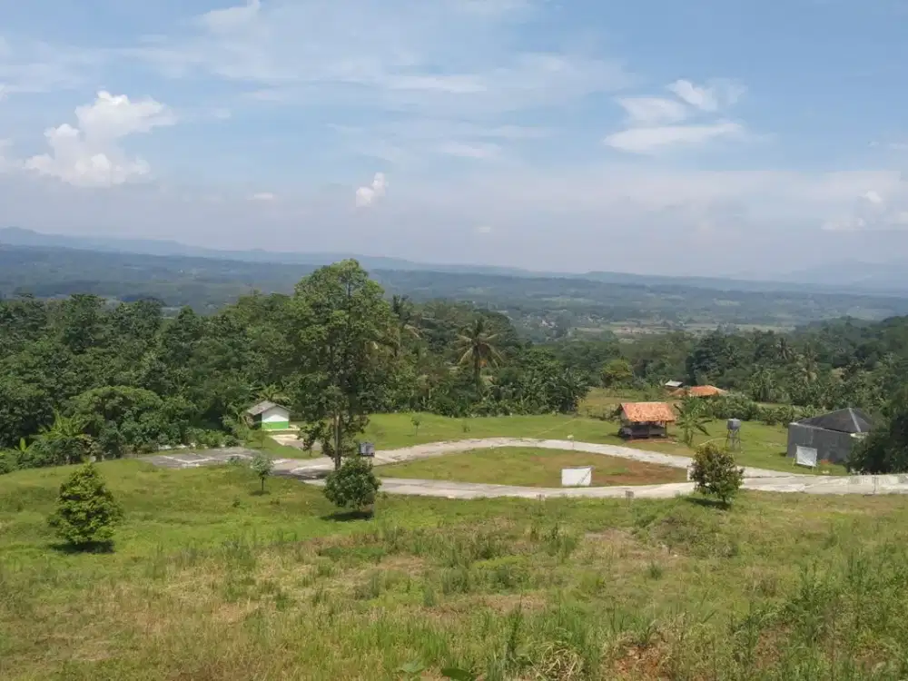 DISEWAKAN Lahan seluas 25.000 m² (2,5 Ha) tepat di pinggir Jalan Alternatif Subang - Purwakarta.