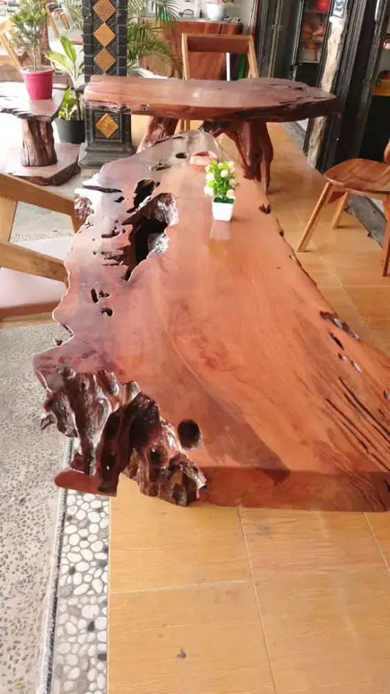 Meja Fosil kayu lada