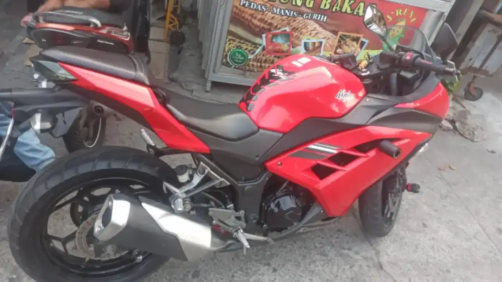 Motor Ninja 250