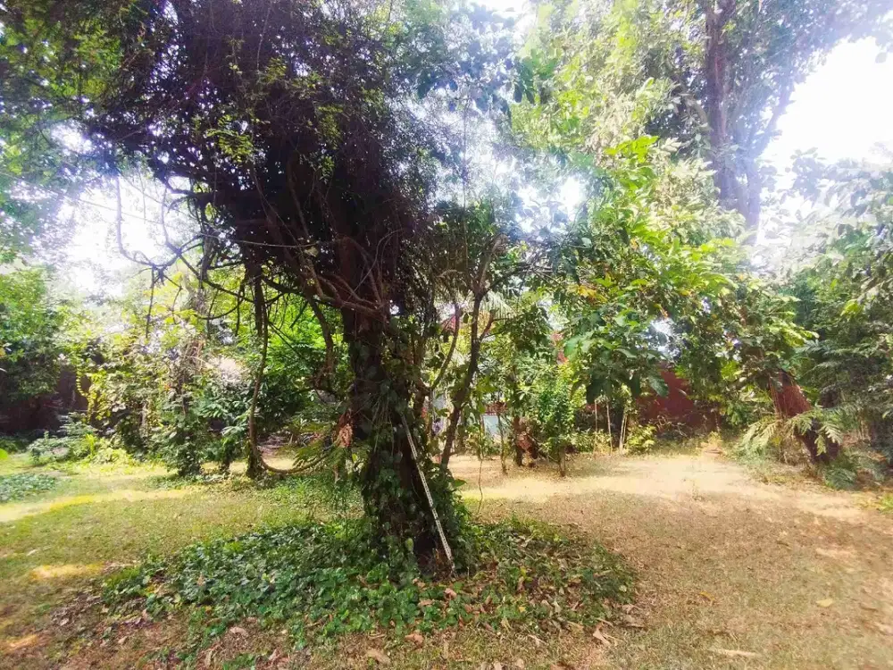 Dijual cepat kavling tanah bentuk L di Cipinang Muara Jakarta Timur