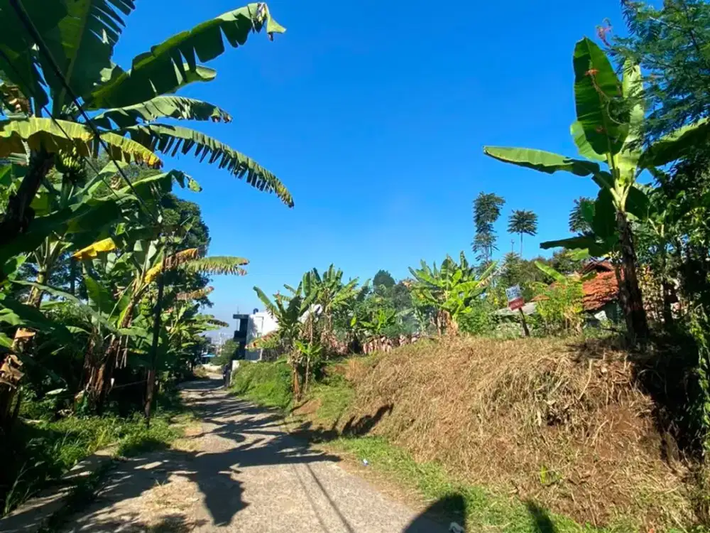 TANAH PADASUKA BANDUNG – LAHAN MATANG SIAP BANGUN, SHM