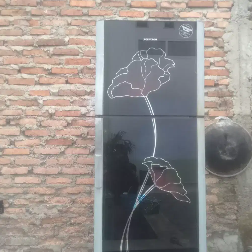 Kulkas 2pintu normal