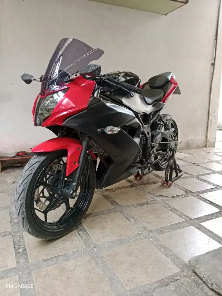 Ninja 250 mono sl