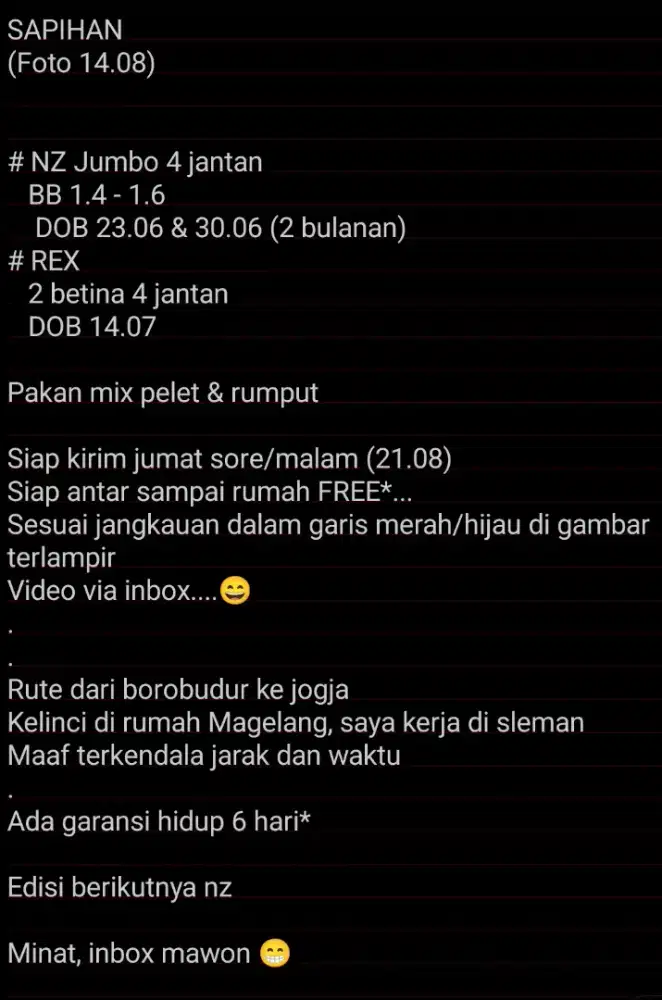 Sapihan nz jumbo