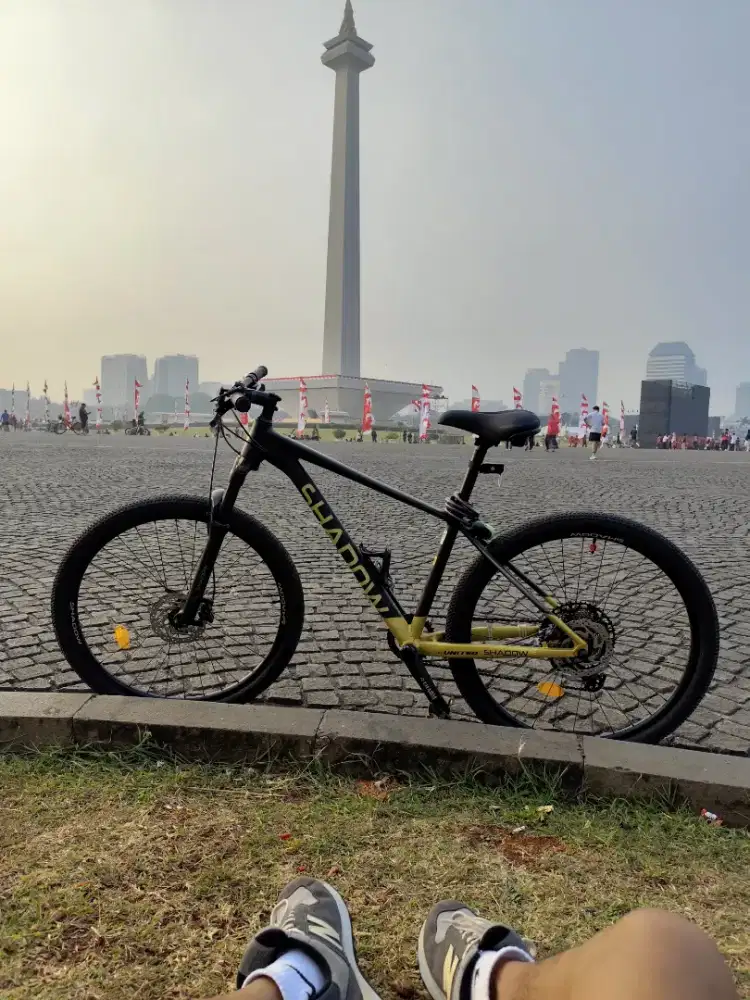 MTB SHADOW NAGATO