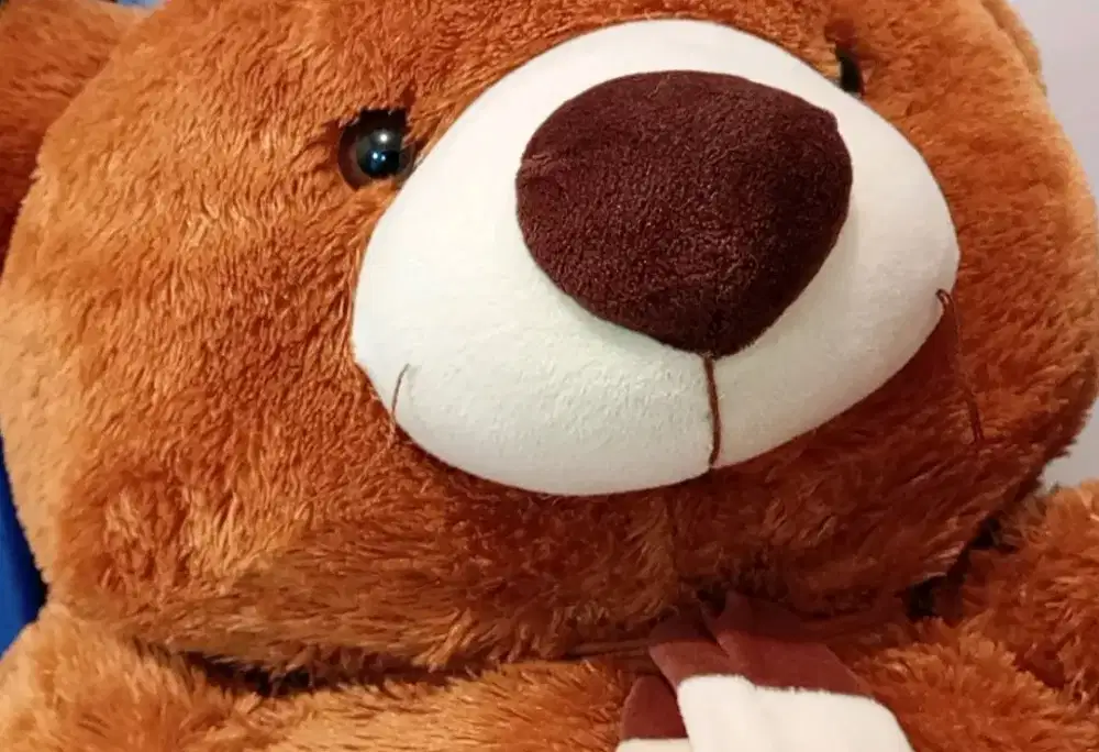 TEDDY BEAR JUMBO