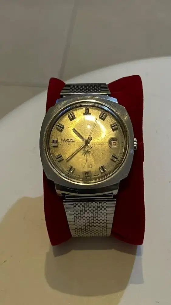 PAGOL V10 SWISS VINTAGE - AUTOMATIC 25 JEWELS