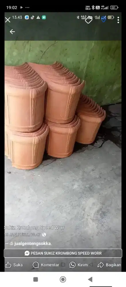 MACAM  MACAM WUWUNG /KREPUS