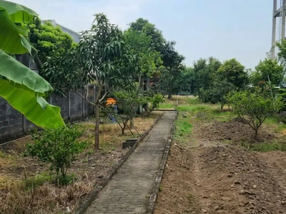 Jl. Raya Sendang Bulu