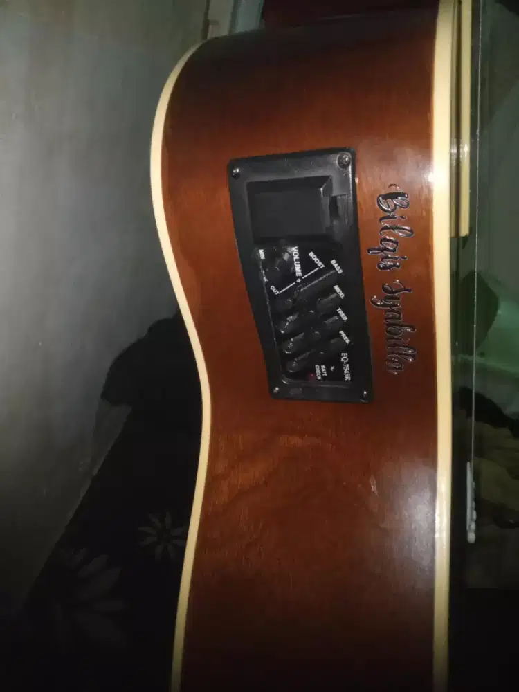 Gitar Puzaka t100