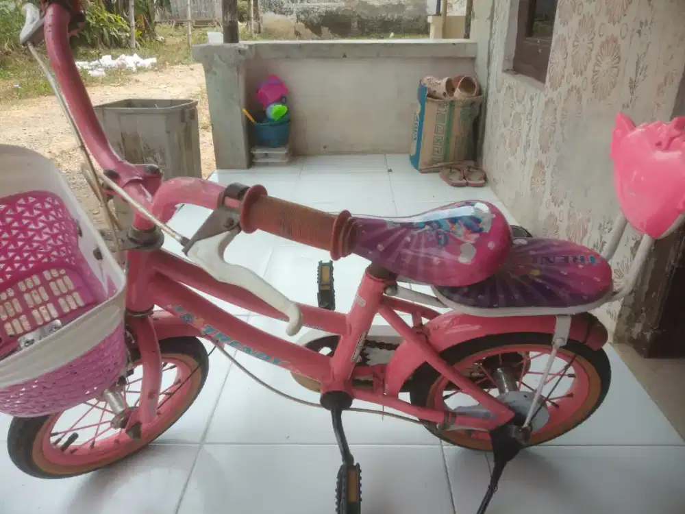Sepeda anak msh bgs