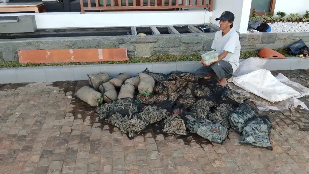 Jasa buat filter kolam koi