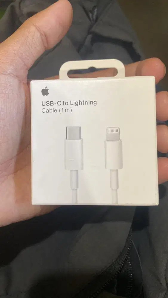 kabel ip type c