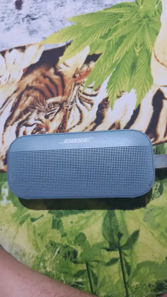 Bosse soundflix gen1