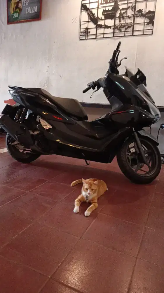 Pcx 2026 Jual butuh