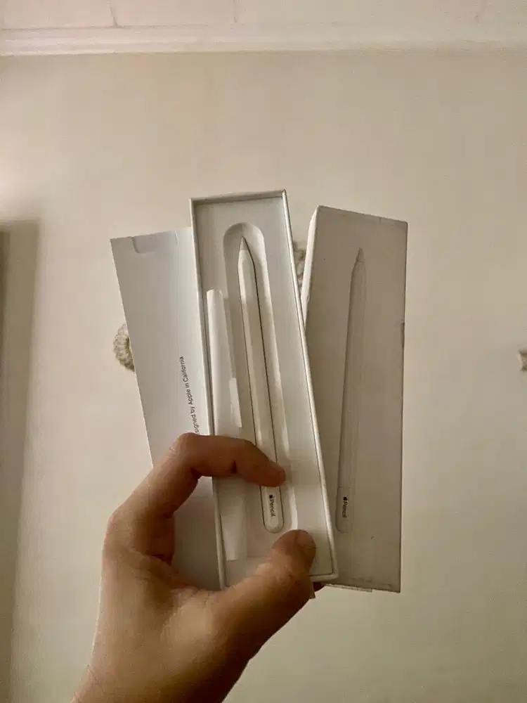 Apple Pencil USB-C Like New Fullset