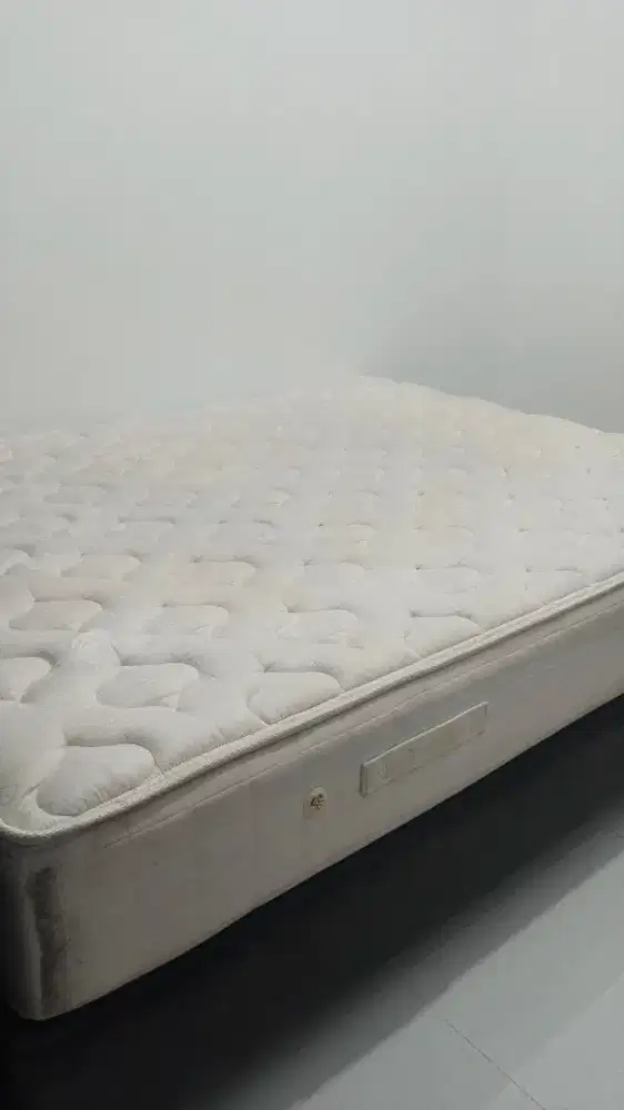 Springbed Florence Pocket latex bonus koper nego wajar