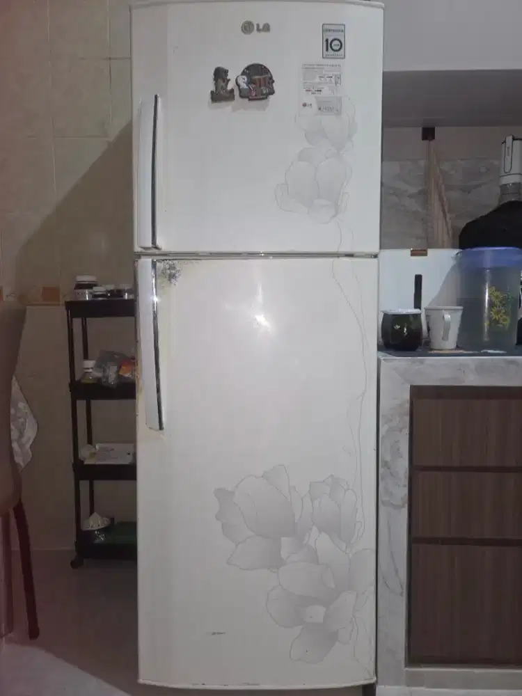 Lemari es 2 pintu merk LG
