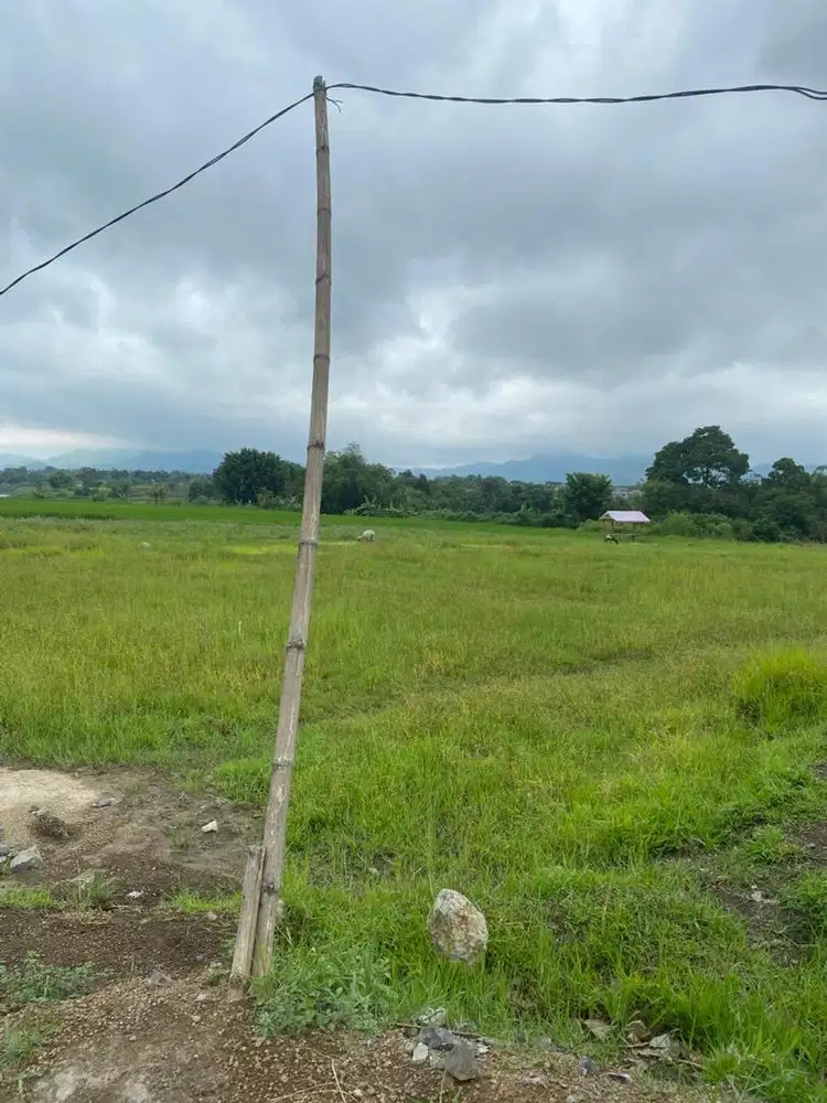 Tanah dijual cepat