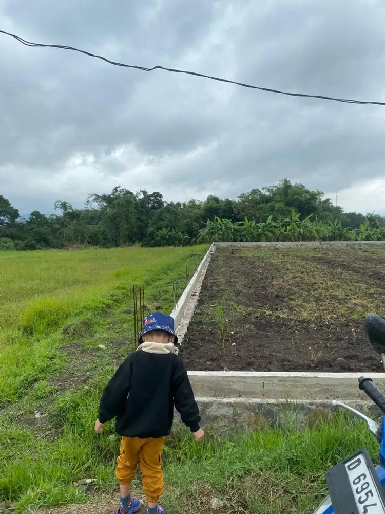 Tanah dijual cepat