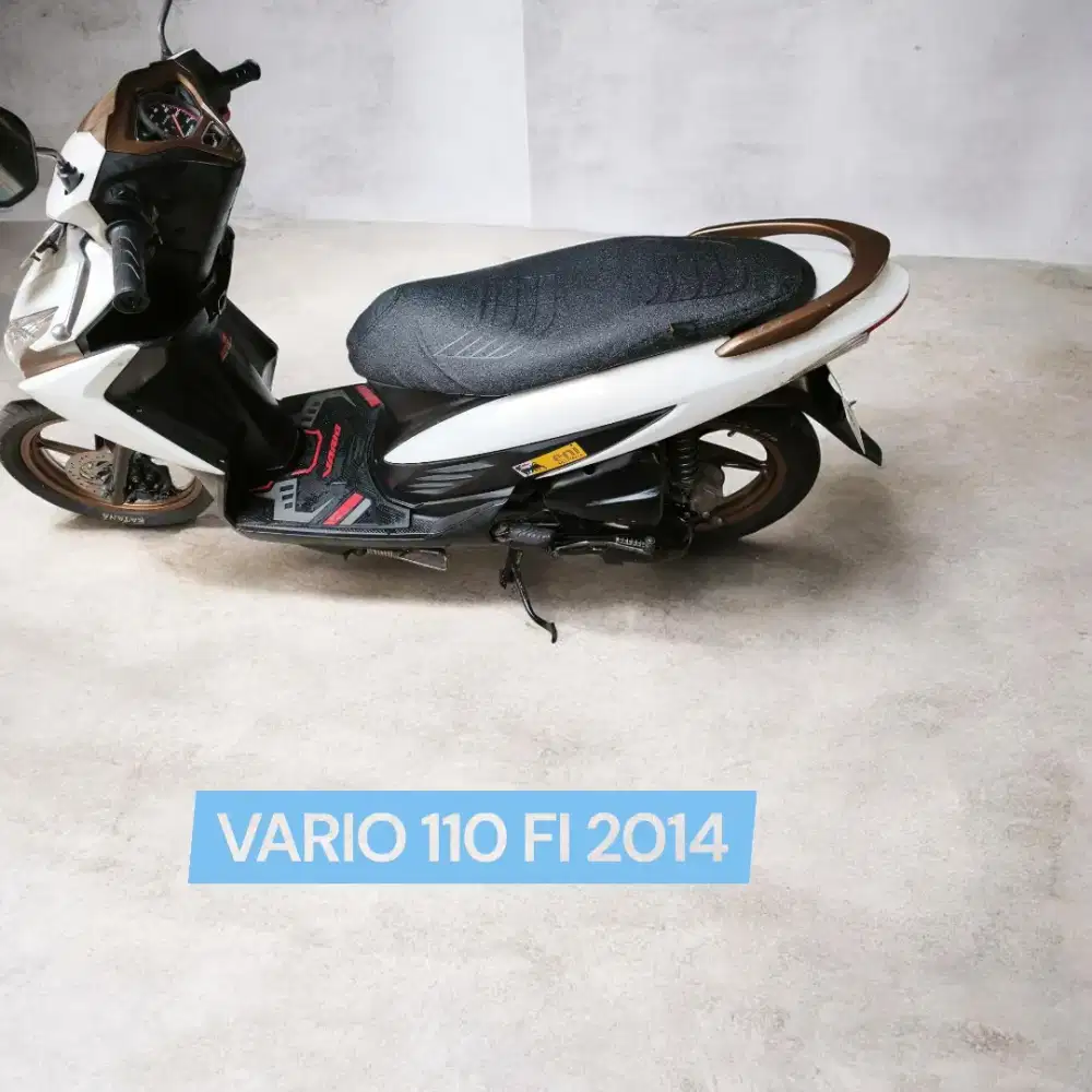Vario 110 fi 2014