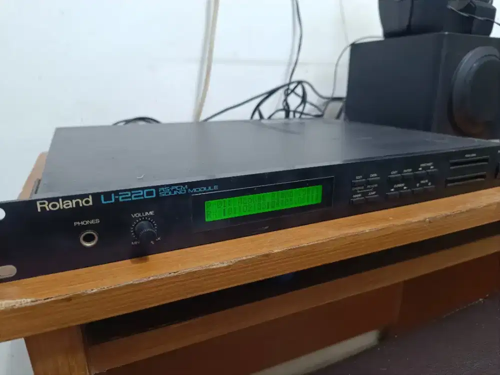 Roland U-220 u220 Sound Module Vintage Synthesizer U-20 U20 rack