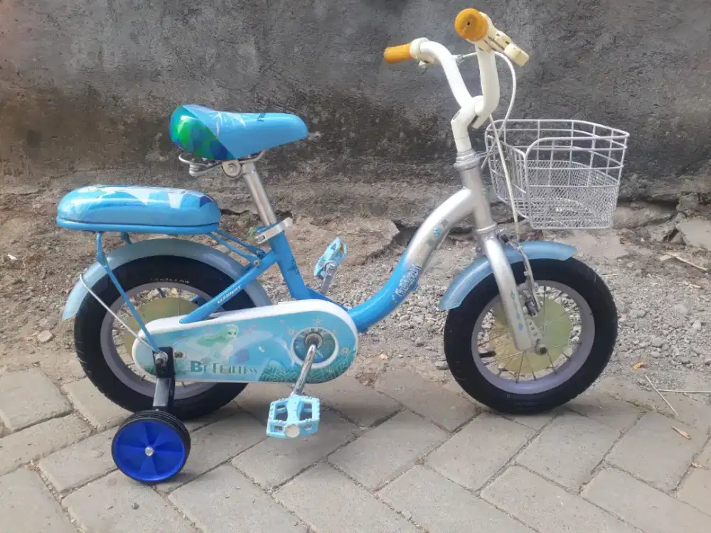 Mini 12 element fozen