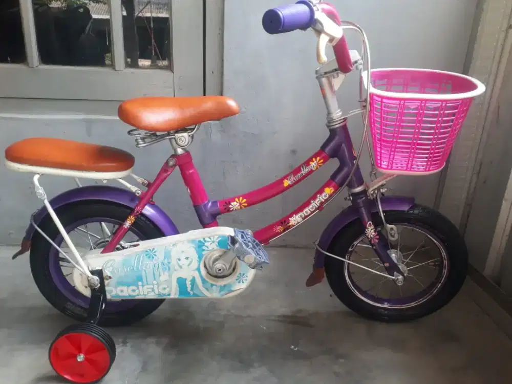 Mini 12 pacific