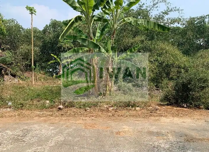 Tanah Pekarangan Murah Bonus Atas Nama Pembeli