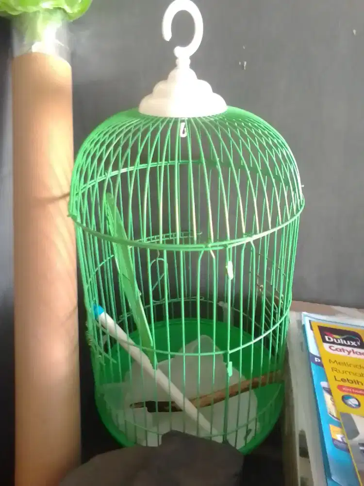 Sangkar Burung Murah