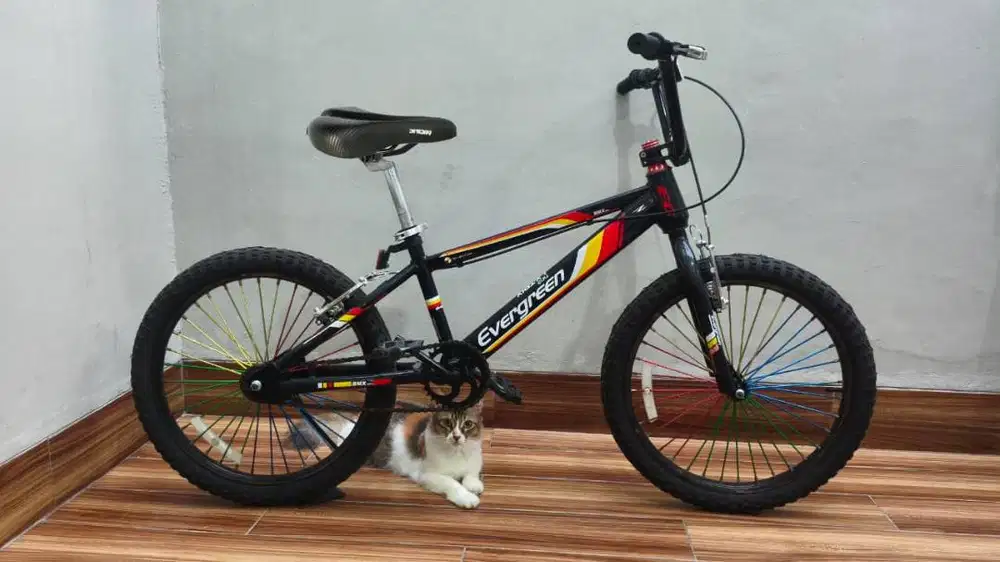 SEPEDA BMX UKURAN 20 INCHI EVERGREEN