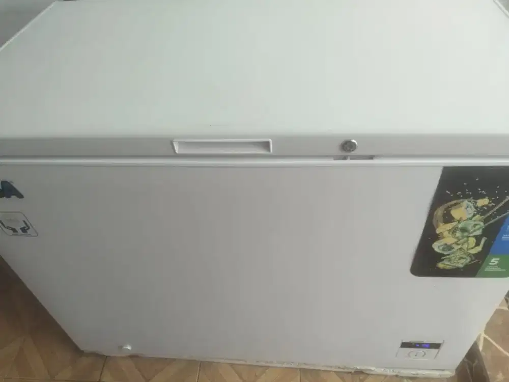 Freezer RSA 310l